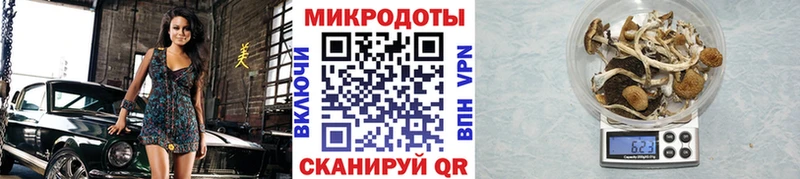 Галлюциногенные грибы MAGIC MUSHROOMS закладка Мамоново