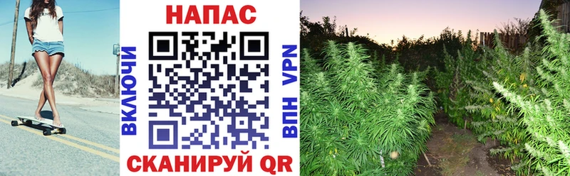 Канабис индика  кракен зеркало  Мамоново 